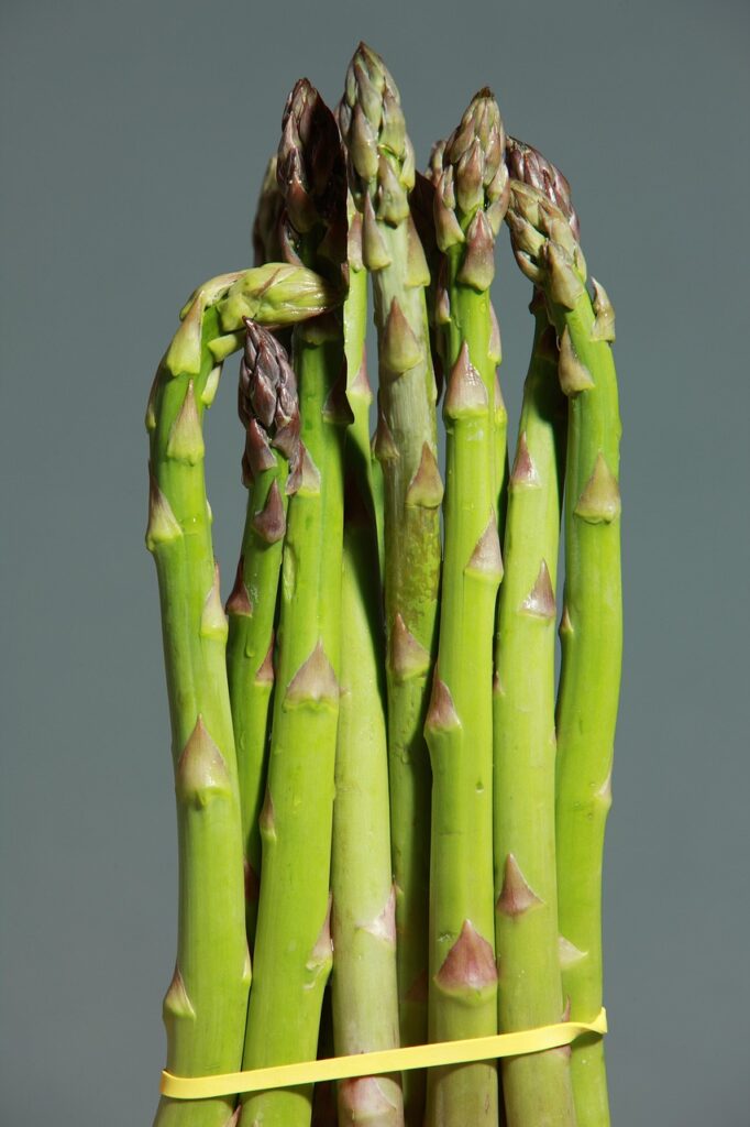 green asparagus 1331460 1280